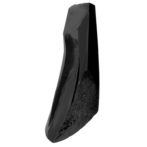 Proud Loneliness Black Granite Sculpture by Masayuki Nagare - Image 5