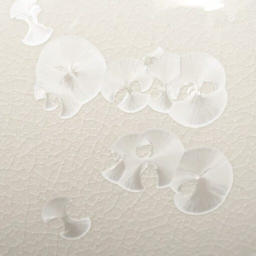 White Crystaline Vase Grouping by Hideaki Miyamura - Image 6
